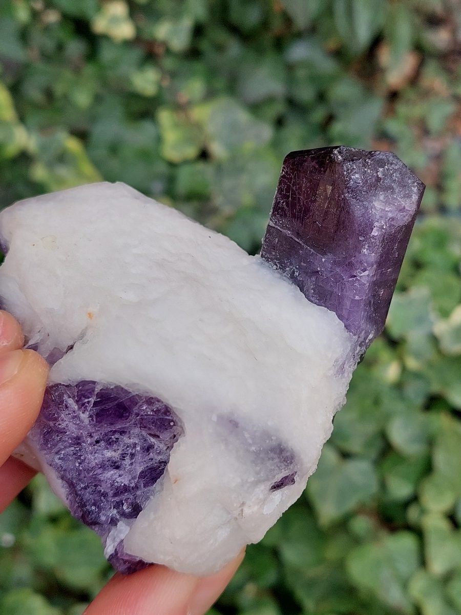 Cristaux de Scapolite sur gangue – Image 5