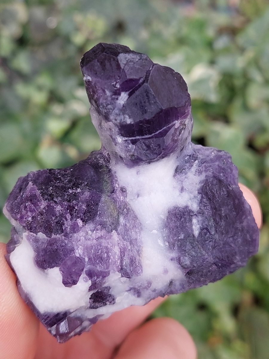 Cristaux de Scapolite sur gangue – Image 4