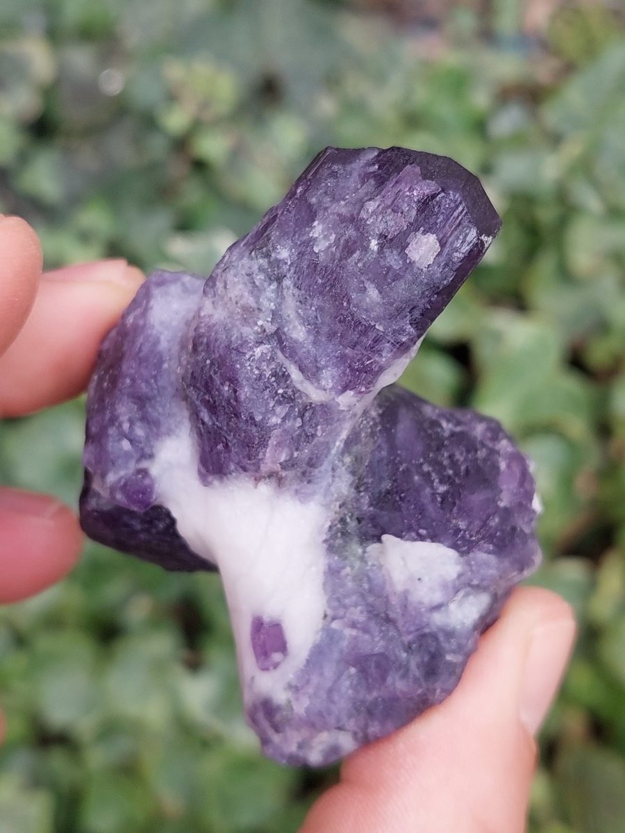 Cristaux de Scapolite sur gangue – Image 5