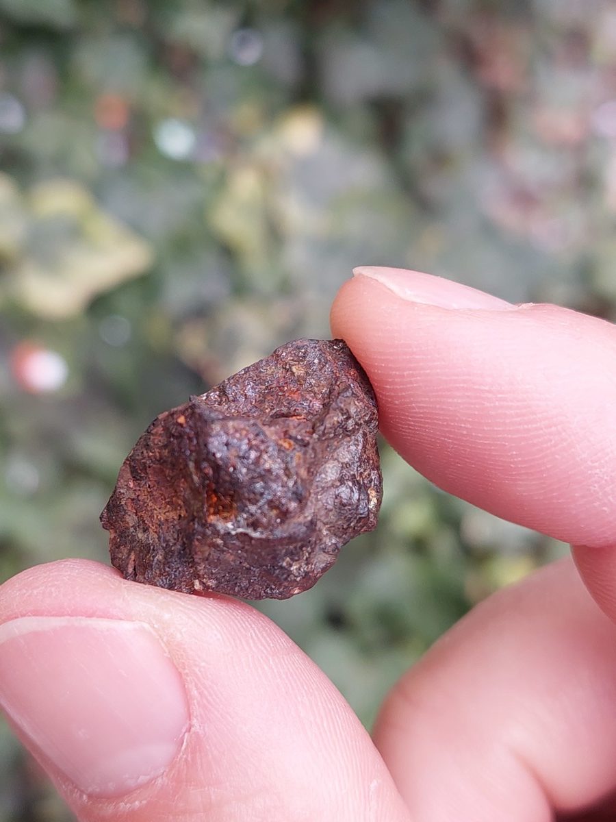 Météorite Pallasite brute | Magasin de minéraux du monde et lithothérapie