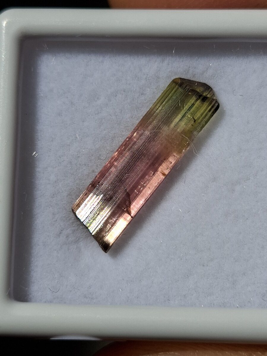 Tourmaline bicolore rose & verte | Boutique suisse de pierres du monde & lithothérapie