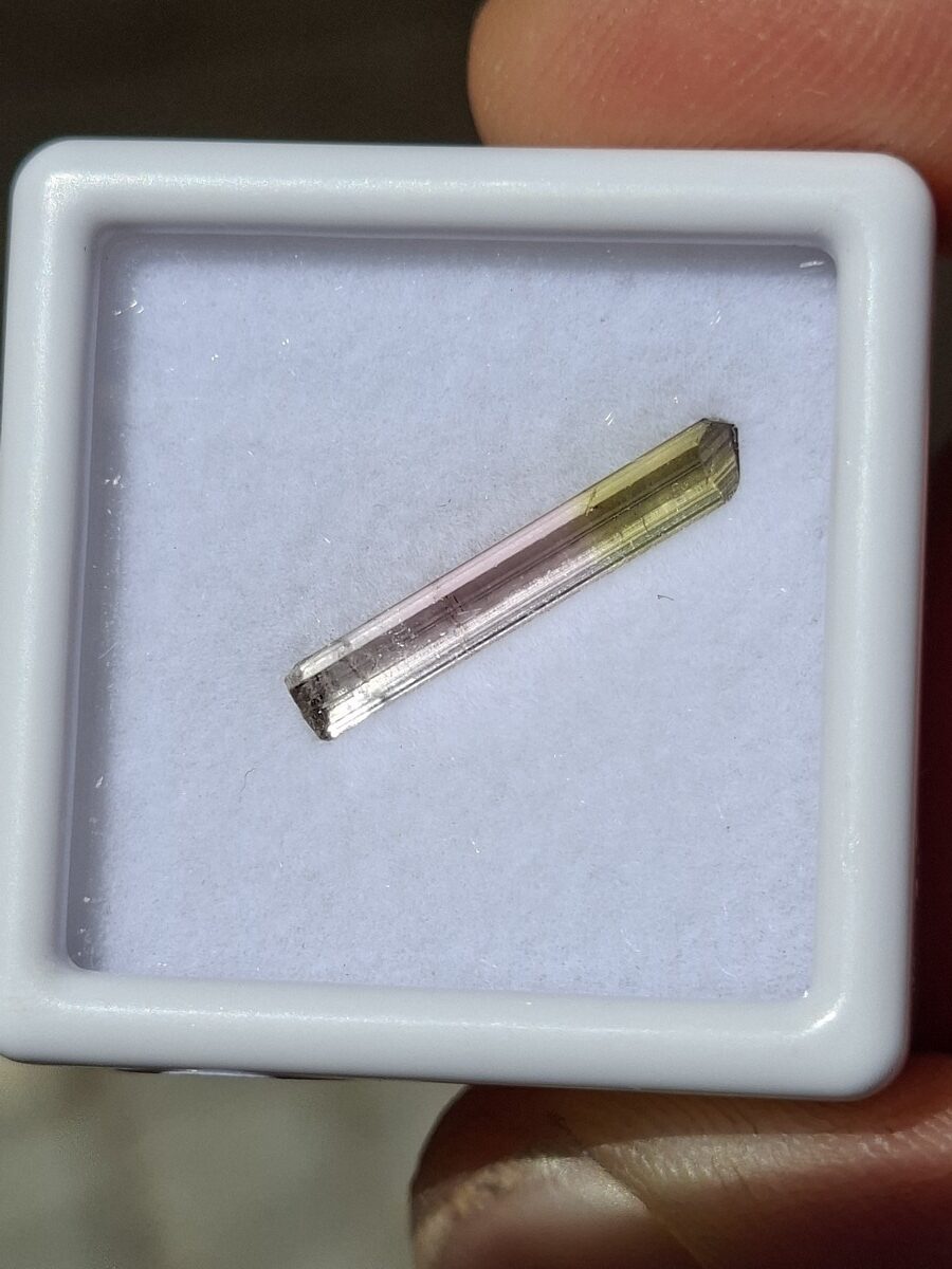Tourmaline bicolore rose & verte | Boutique suisse de pierres du monde & lithothérapie