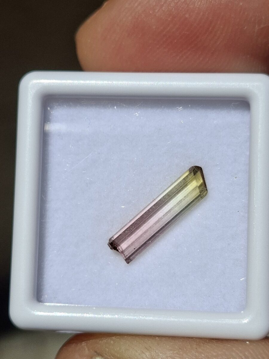 Tourmaline bicolore rose & verte | Boutique suisse de pierres du monde & lithothérapie