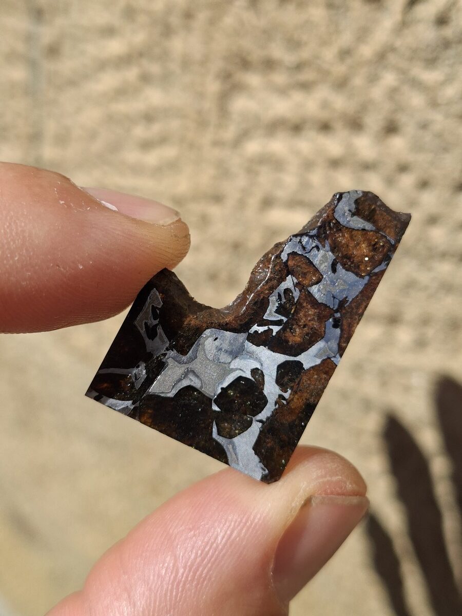 Météorite Pallasite tranche polie | Magasin de minéraux du monde et lithothérapie