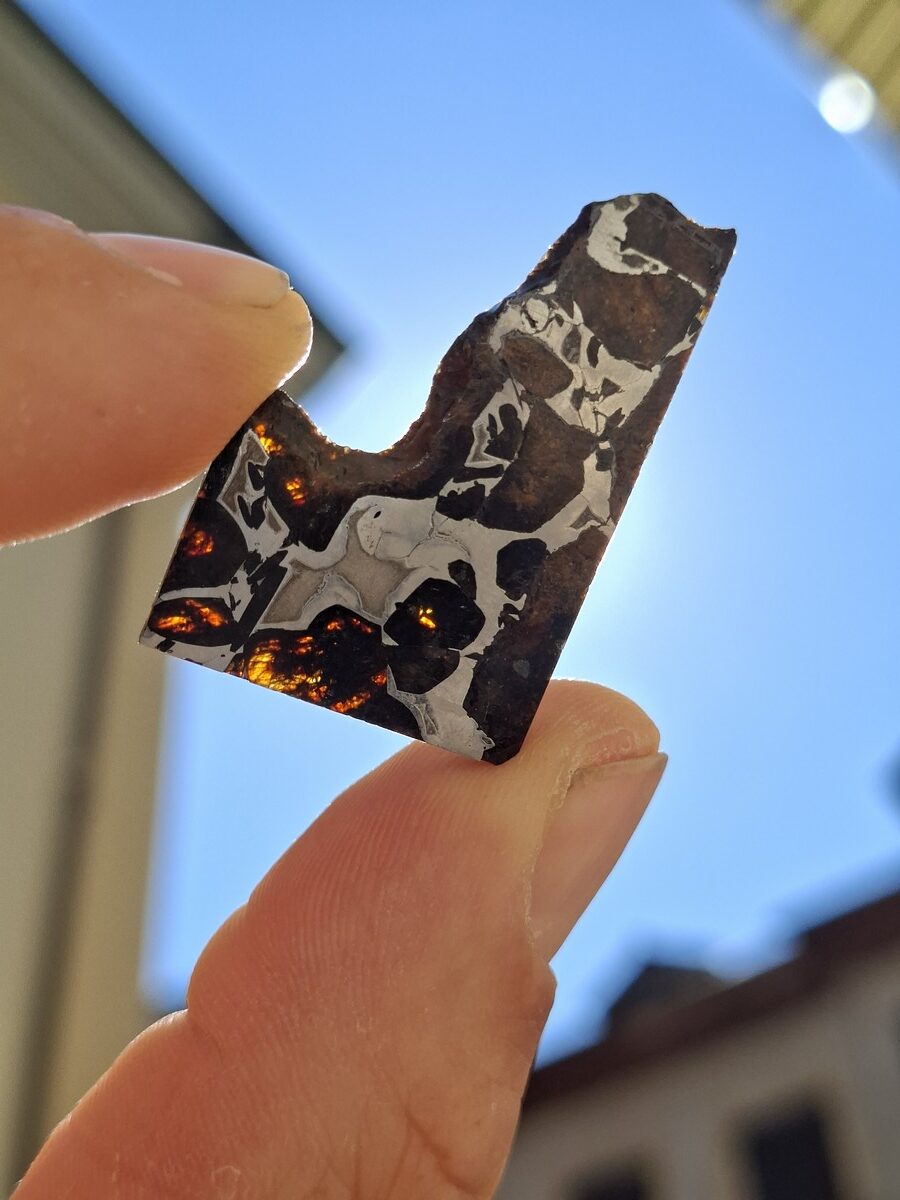 Météorite Pallasite tranche polie | Magasin de minéraux du monde et lithothérapie