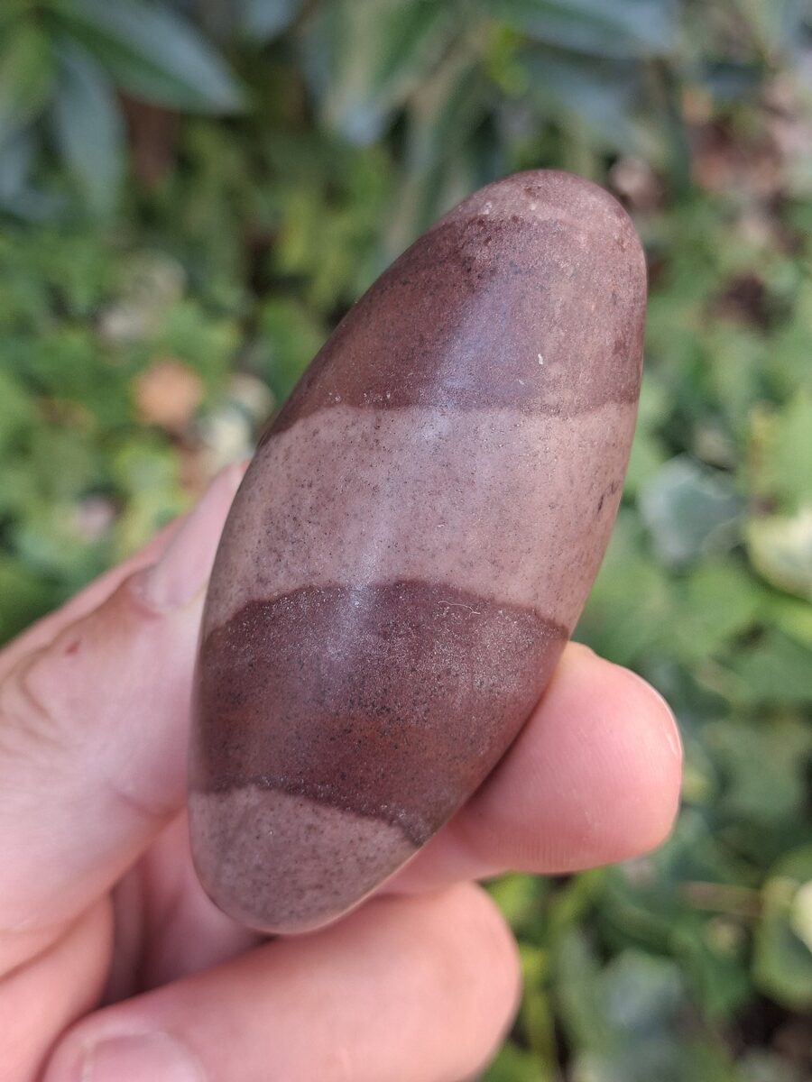 Une magnifique pierre Shiva Lingam à découvrir dans notre boutique en ligne de minéraux du monde et lithothérapie. Livraison rapide. Commande en ligne.
