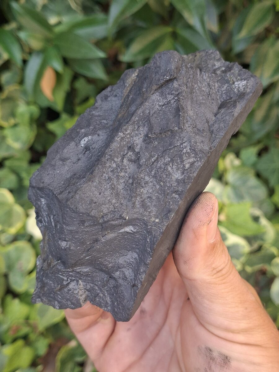 Shungite brute | Boutique suisse Lithothérapie & minéraux du monde