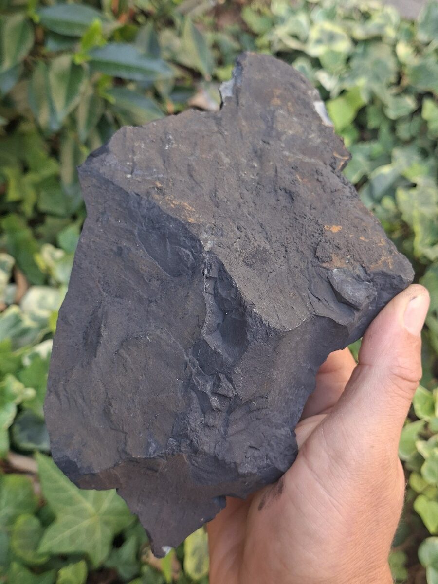 Shungite brute | Boutique suisse Lithothérapie & minéraux du monde