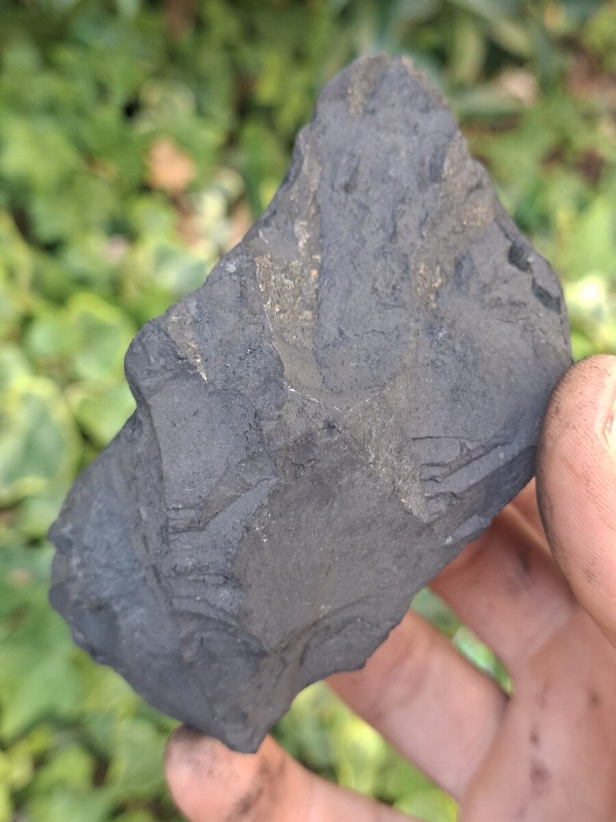 Shungite brute | Boutique suisse Lithothérapie & minéraux du monde