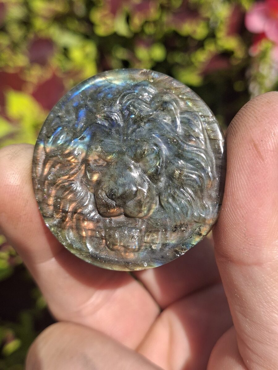 Labradorite tête de lion