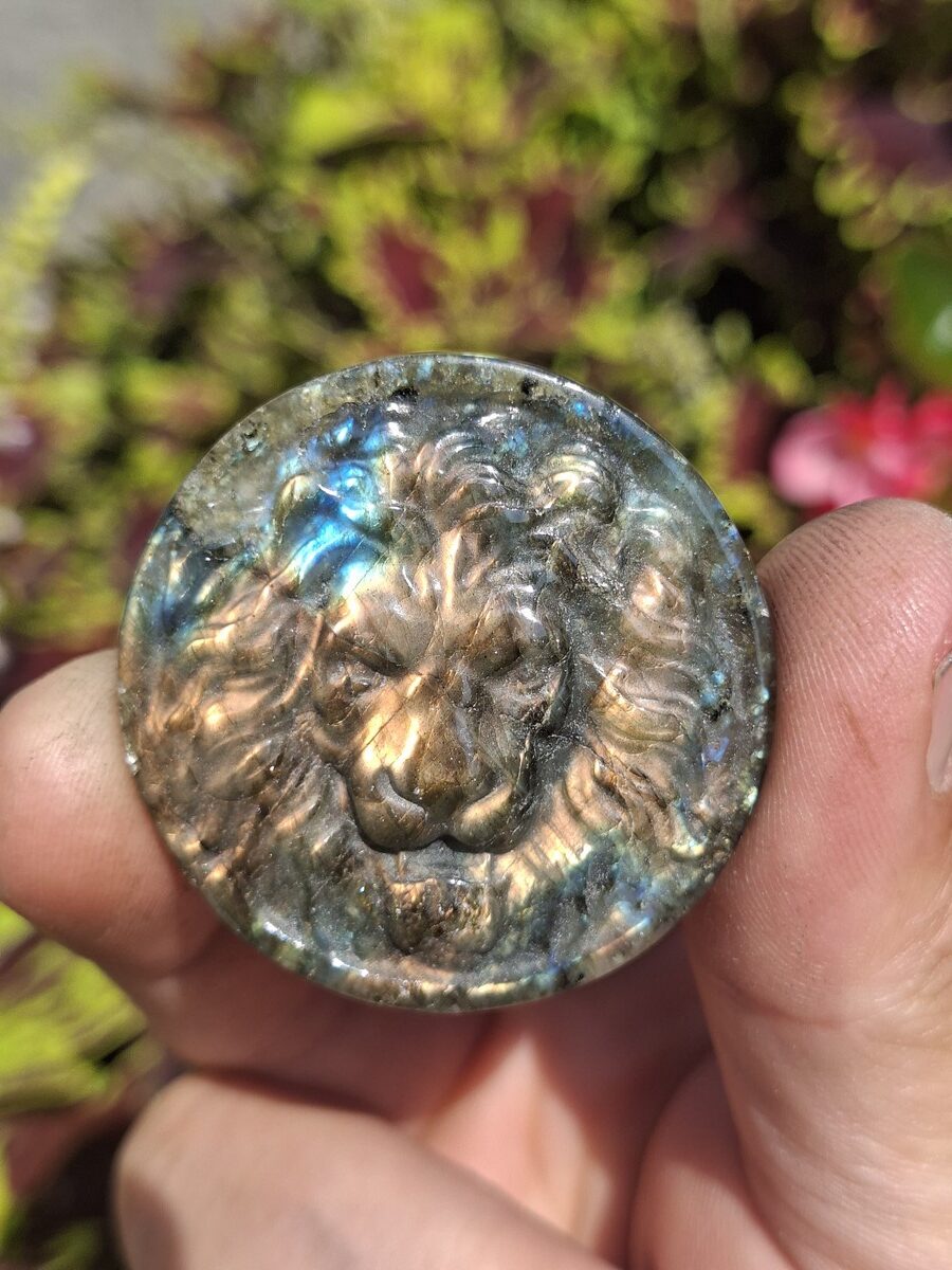 Labradorite tête de lion de Madagascar | Boutique suisse de minéraux du monde