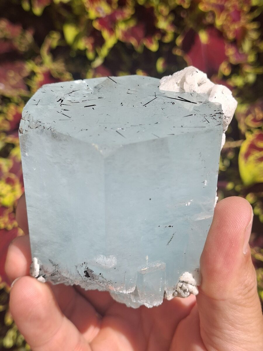 Aigue-marine brute avec tourmaline