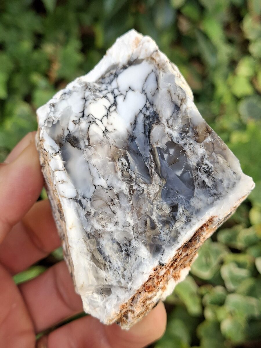 Opale prase dendritique brute