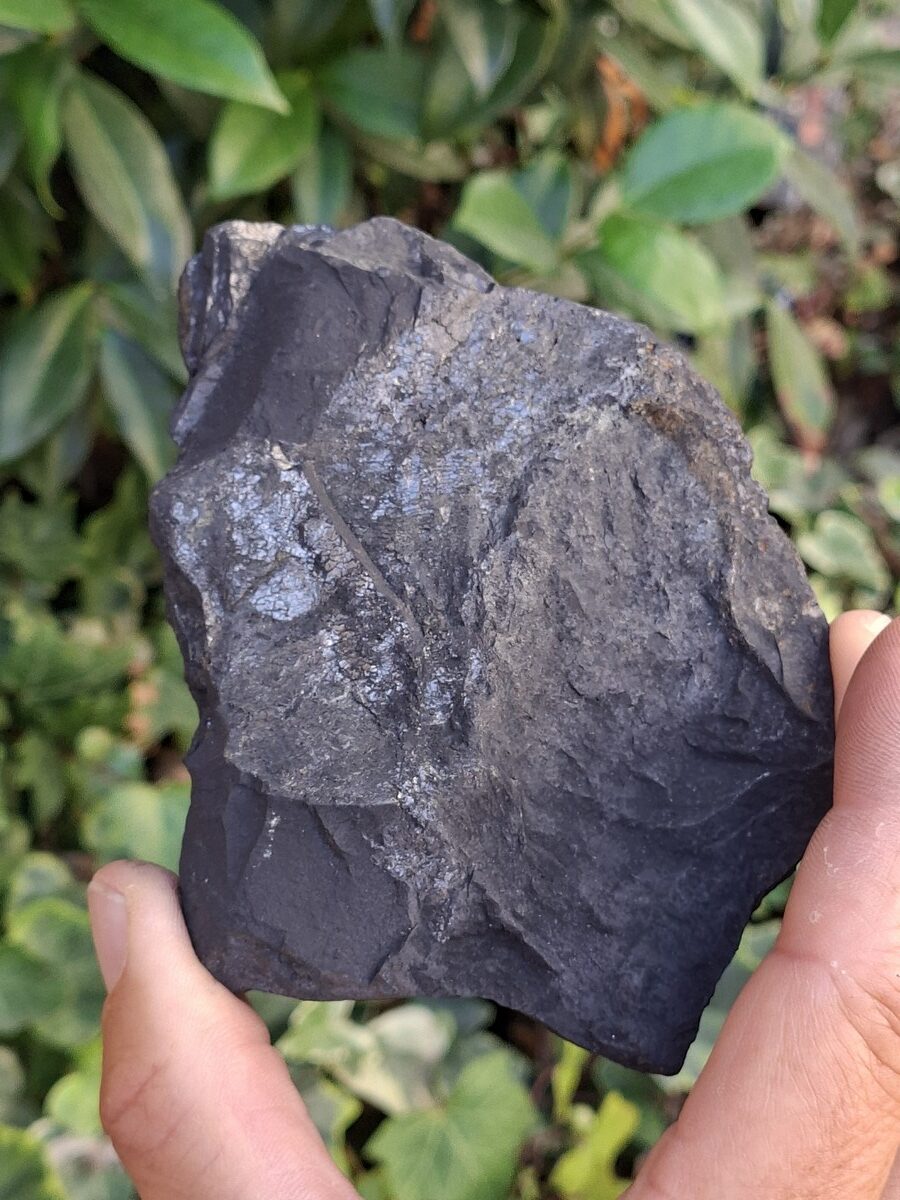 Shungite brute | Boutique suisse Lithothérapie & minéraux du monde