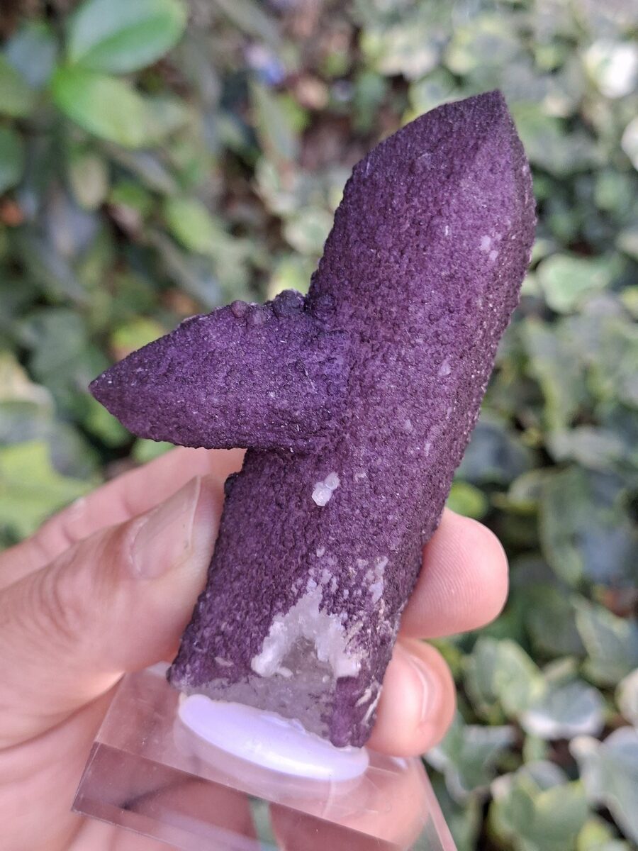 Fluorite violette sur quartz- Boutique de pierres & lithothérapie en Suisse