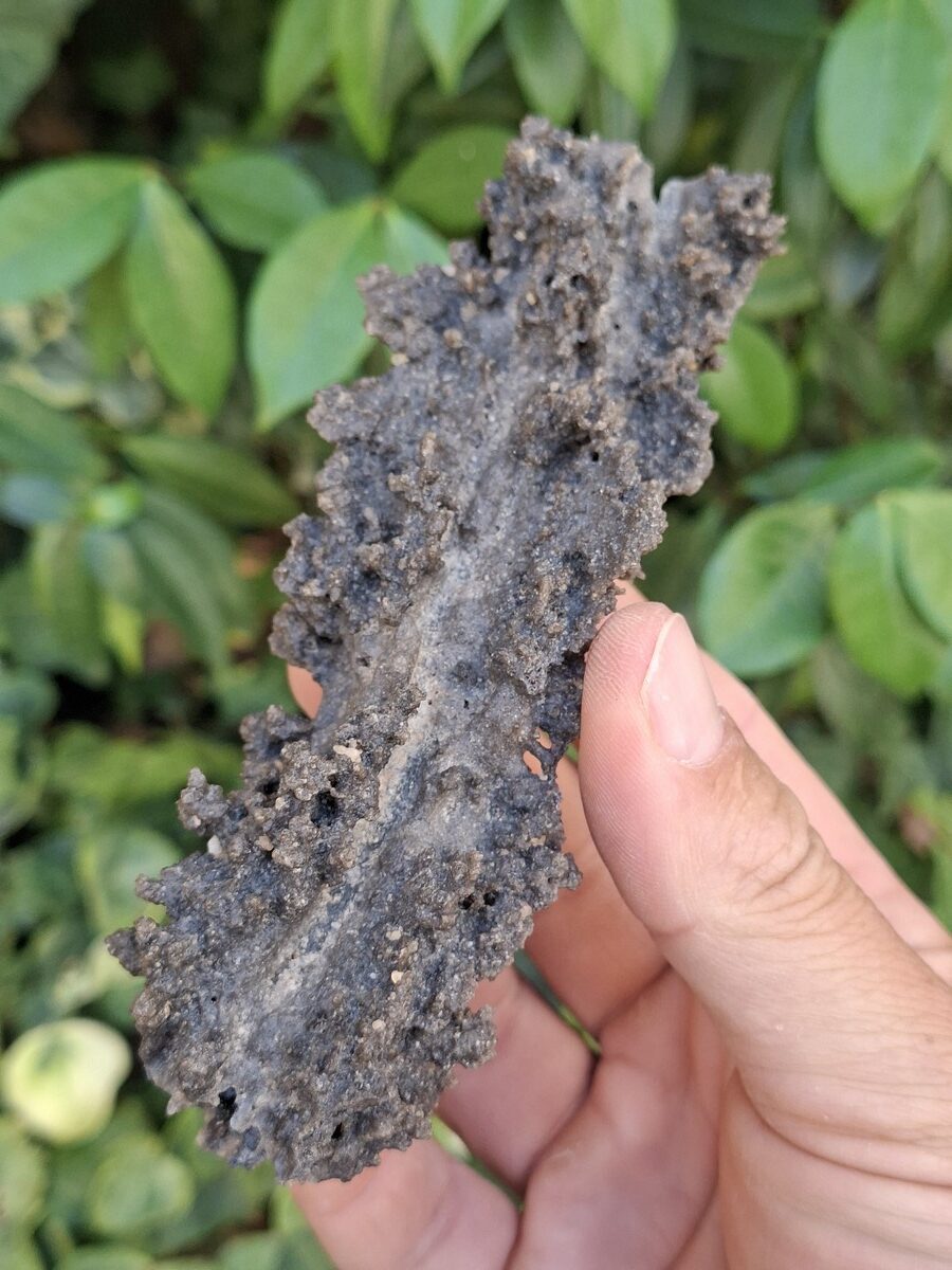 Fulgurite brute du Niger | Boutique suisse de pierres et minéraux de collection