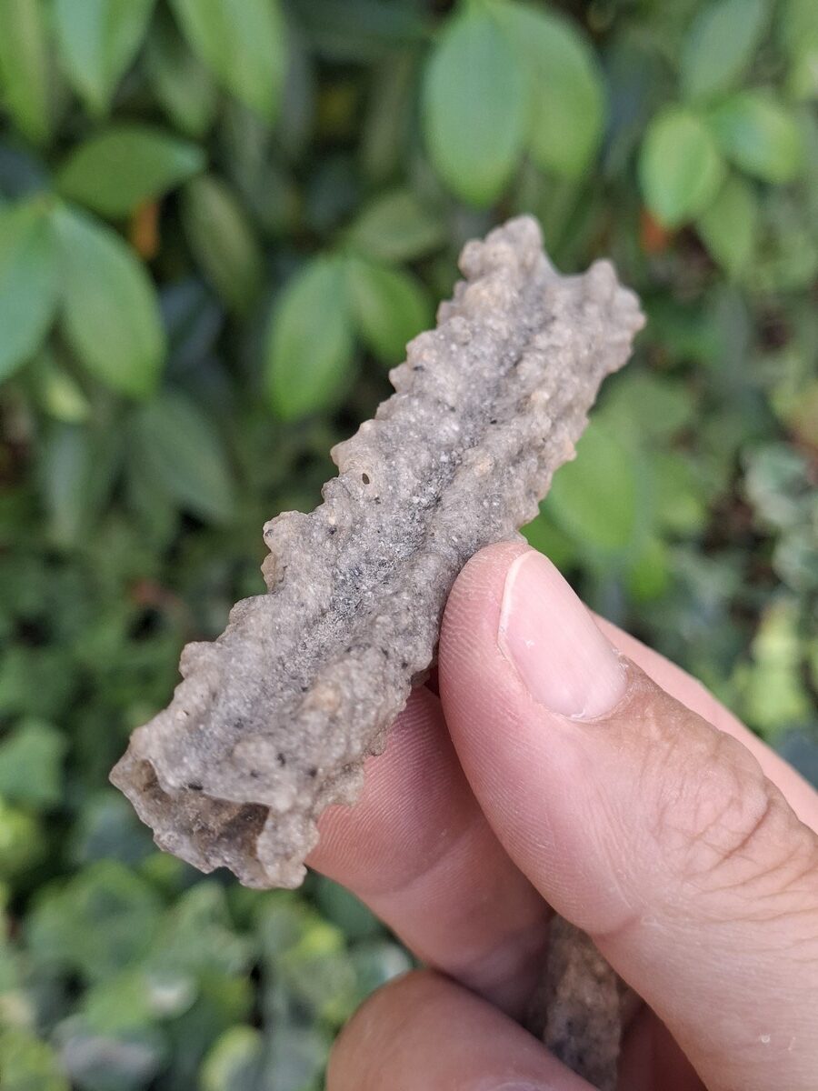 Fulgurite brute du Niger | Boutique suisse de pierres et minéraux de collection