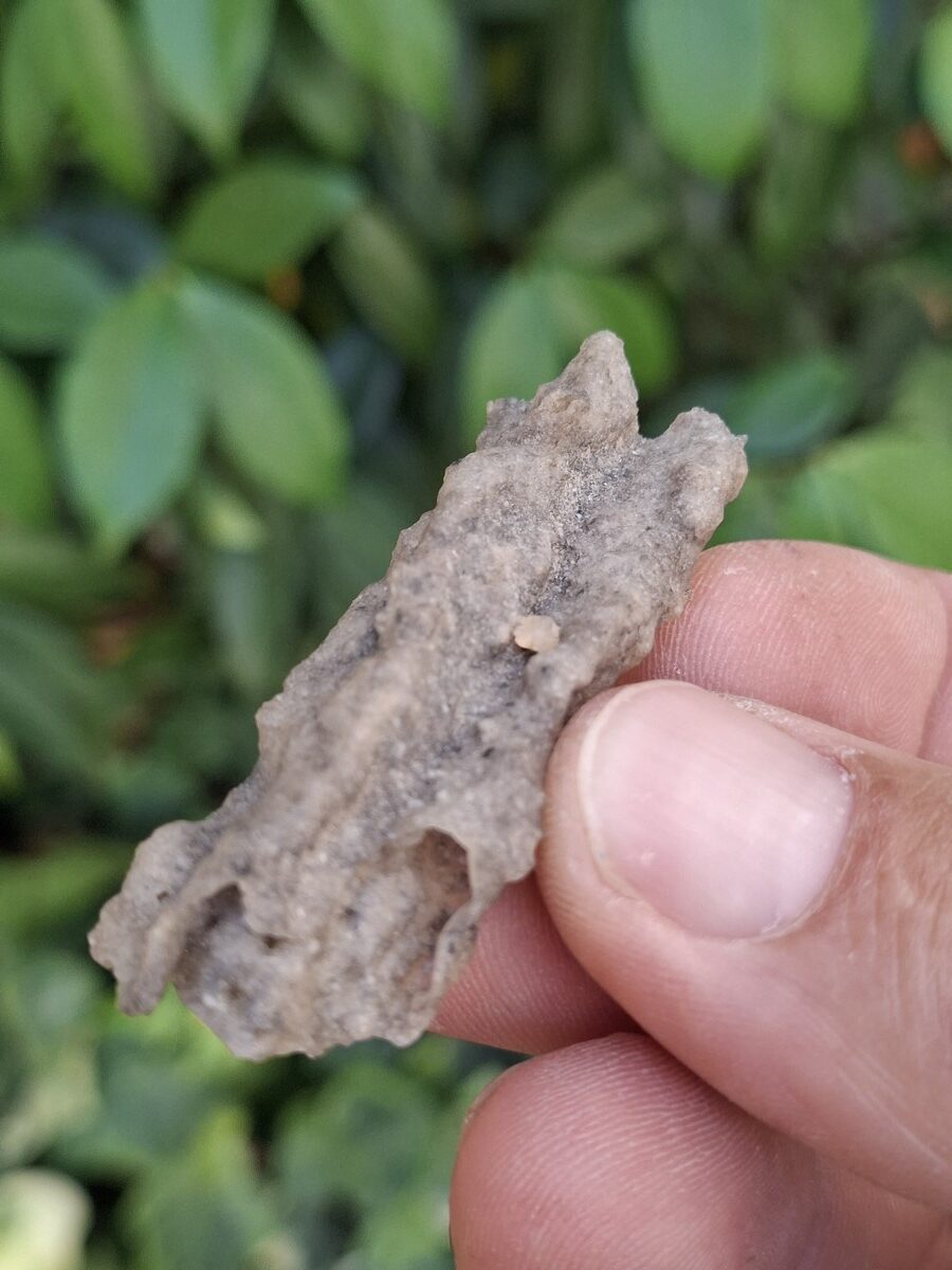 Fulgurite brute du Niger | Boutique suisse de pierres et minéraux de collection